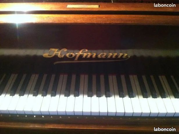 Piano 1/4 de queue Hofmann (image 3)