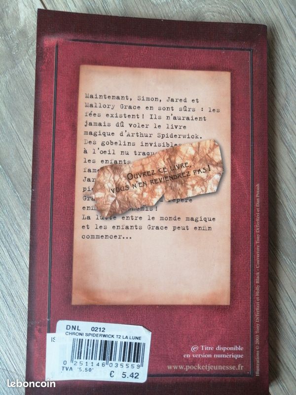 Livre spiderwick (image 2)