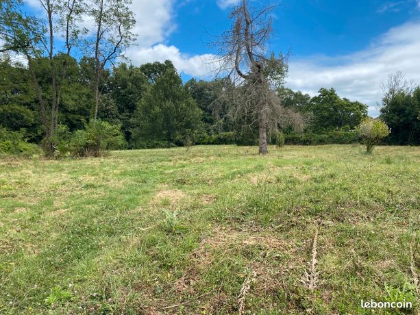 Terrain 1 008 m² Soulignac