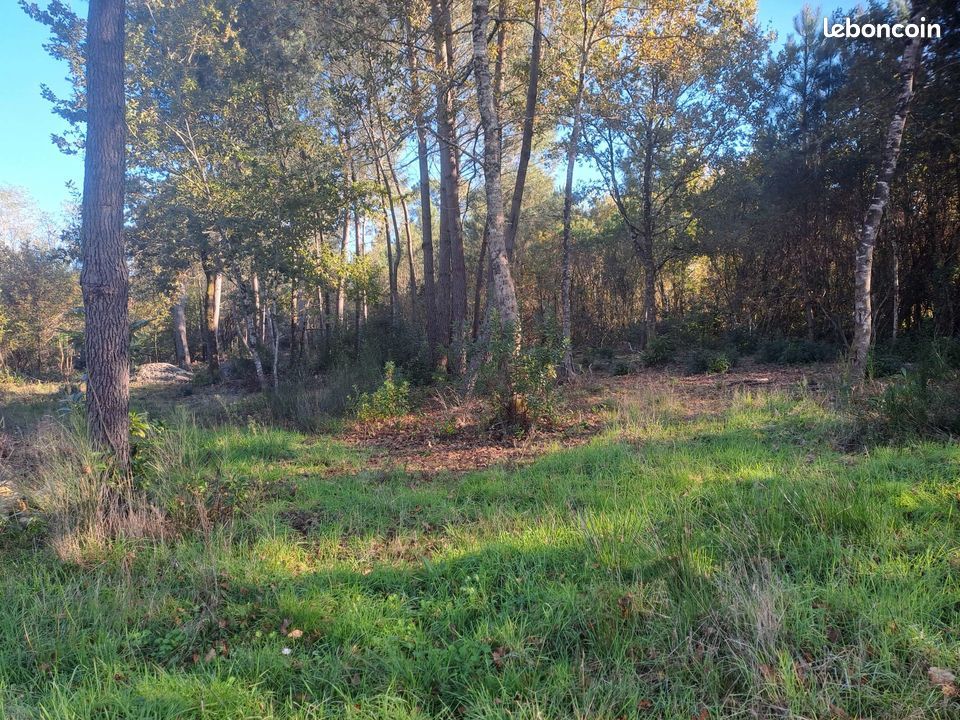 Terrain Saint Sauveur (image 1)