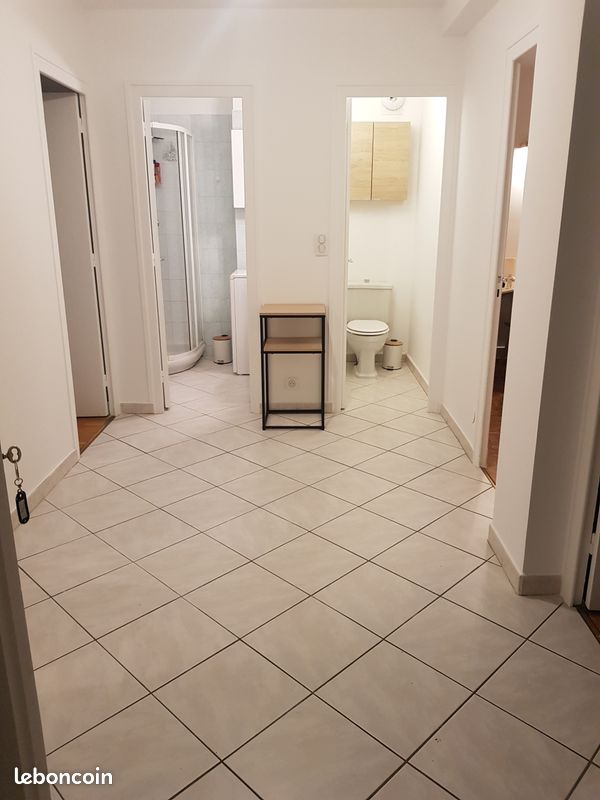 Chambre 15m2 dans Appartement 67 m2 ANNECY (image 3)