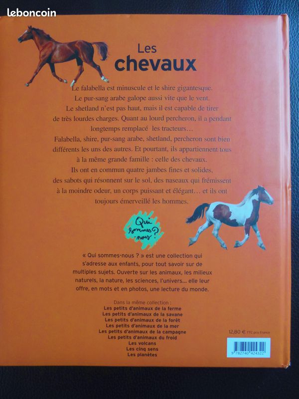 Livre enfant sur les chevaux (à partir de 7 ans) (image 3)