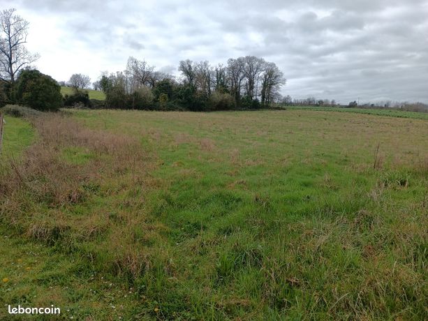 Terrain agricole