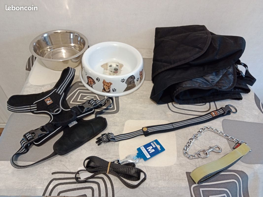 ACCESSOIRES pour CHIENS (image 1)