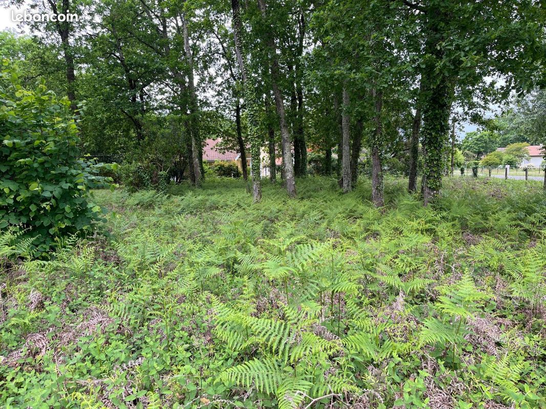 Terrain à bâtir de 434 m² à ANDERNOS-LES-BAINS (33) · 234 000 €