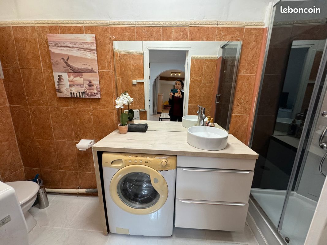 Splendide appartement climatisé à Carcassonne (image 11)