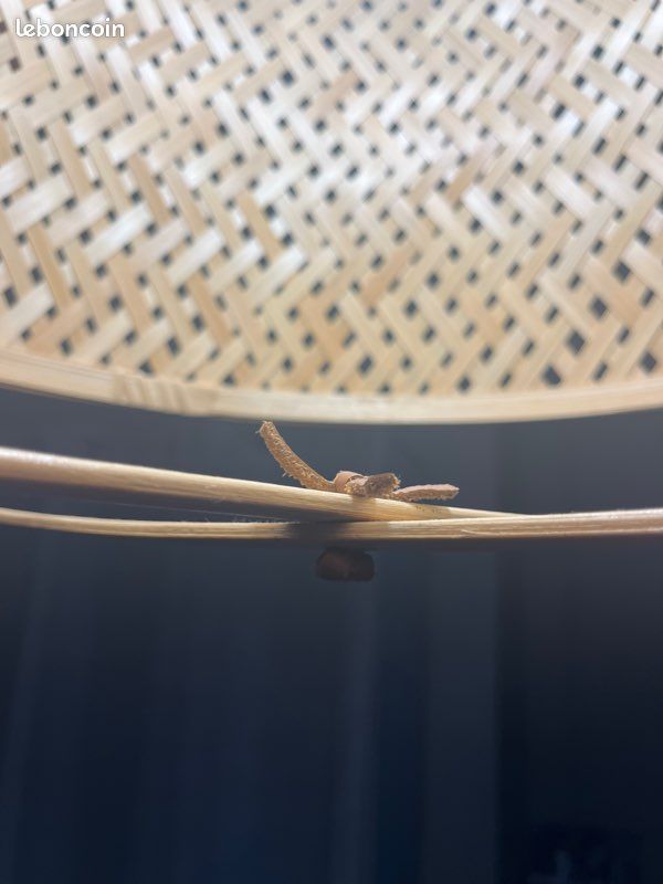 Lustre (image 3)