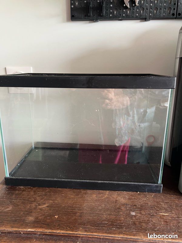 Aquarium (image 1)