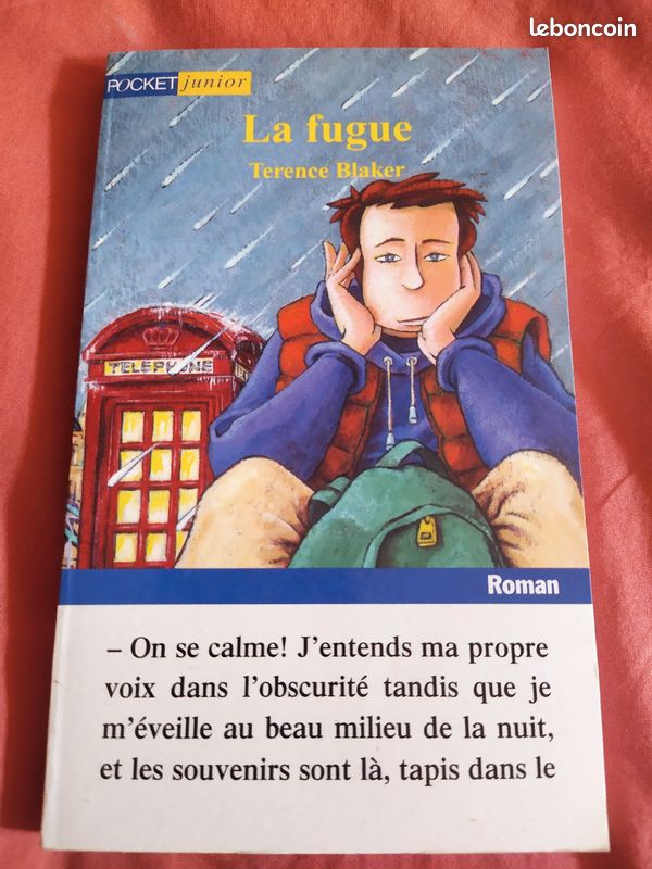 Livres pour adolescents (image 7)