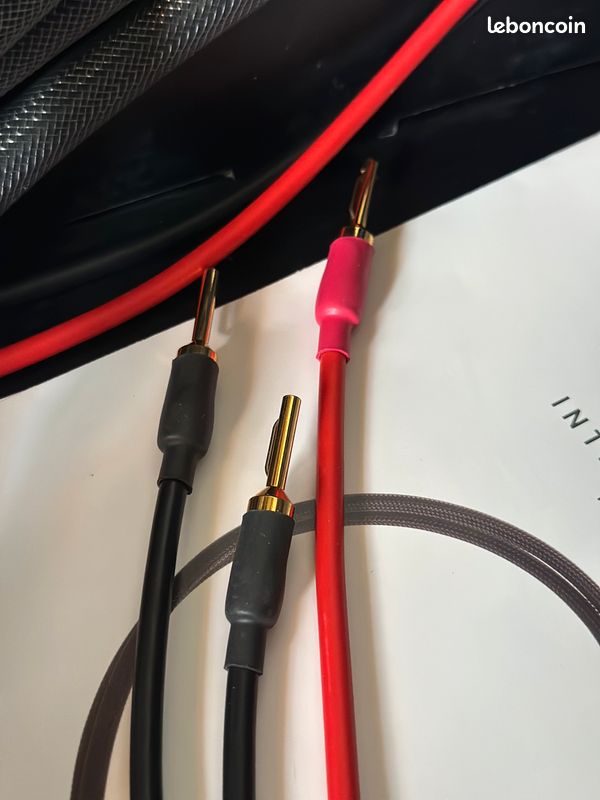 Shunyata Venom SP câbles pour hp longueur 2 x 3m occasion 1ere main en parfait état (image 2)