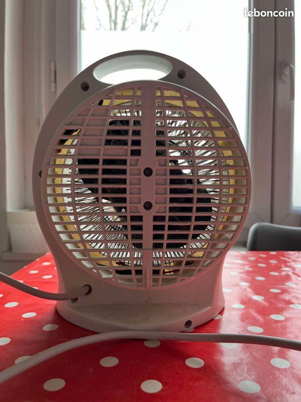 Petit radiateur (image 1)