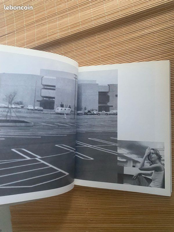 School spirit -pierre huyghe, douglas coupland , rencontre (image 13)