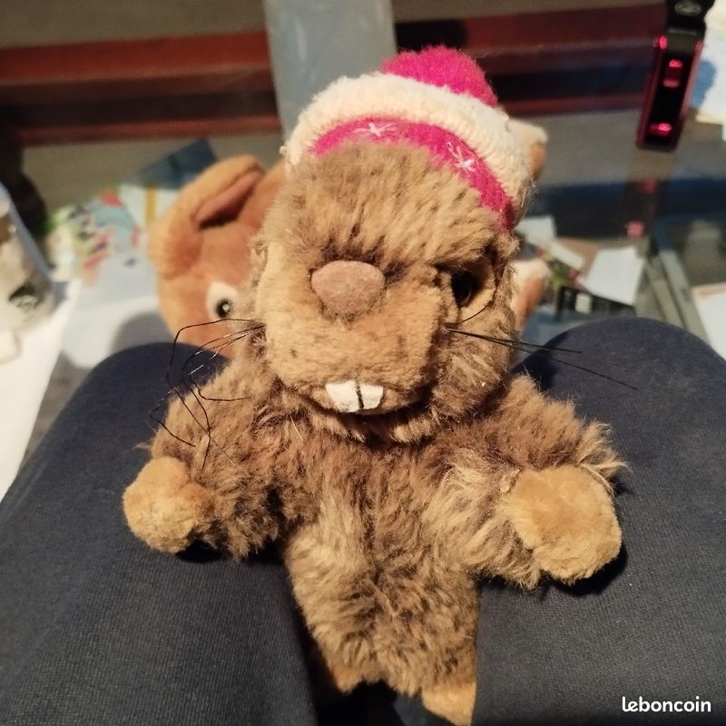 Vend jouet pour chien qui fait un petit son (image 2)