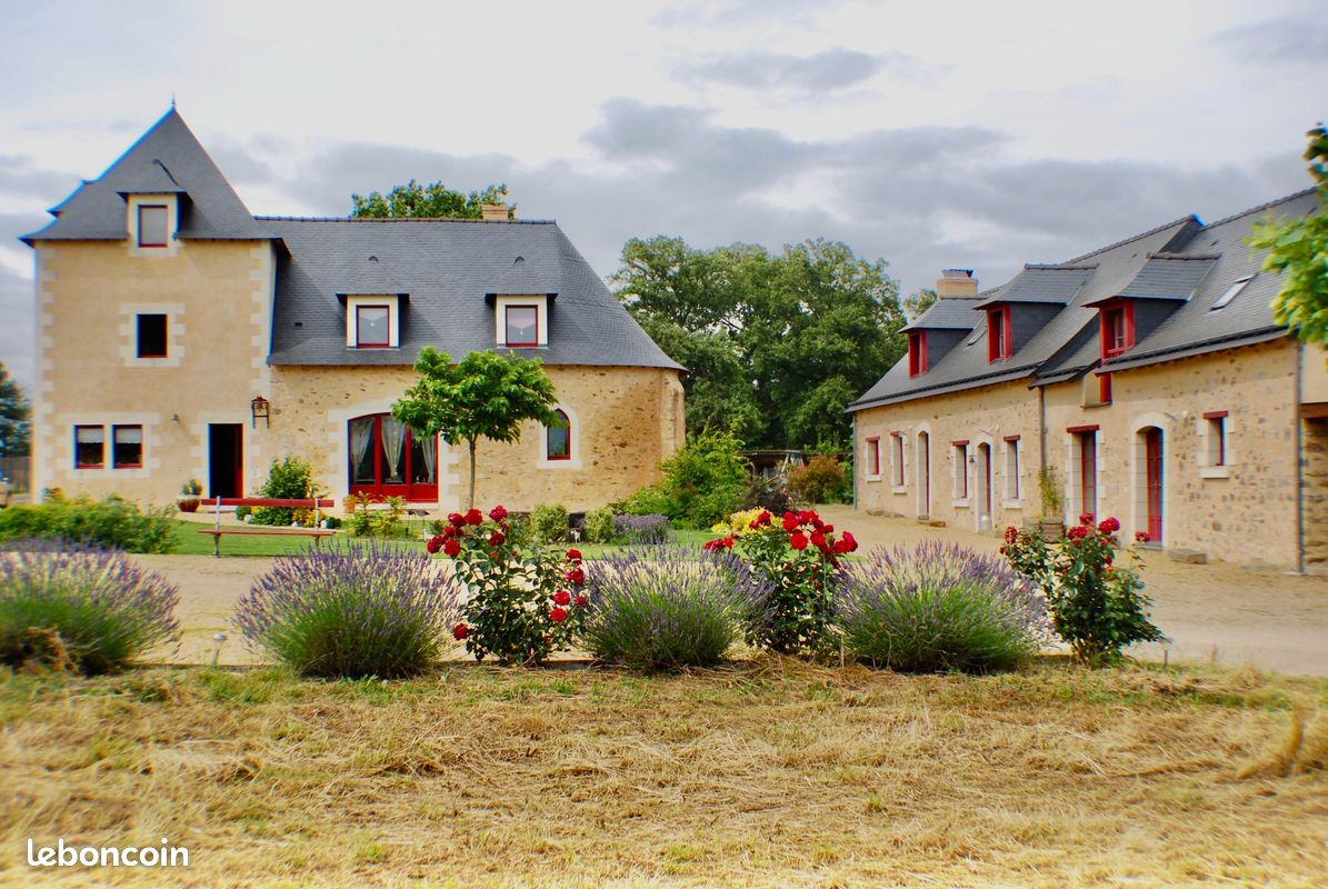 Maison 11 pièces 440 m² · à Angers · 440 m² · 595 000 €