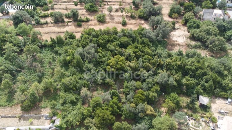 Terrain 3 160 m² Falicon (image 1)