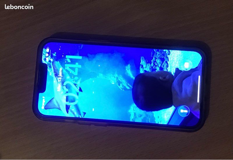IPhone 13 (image 4)