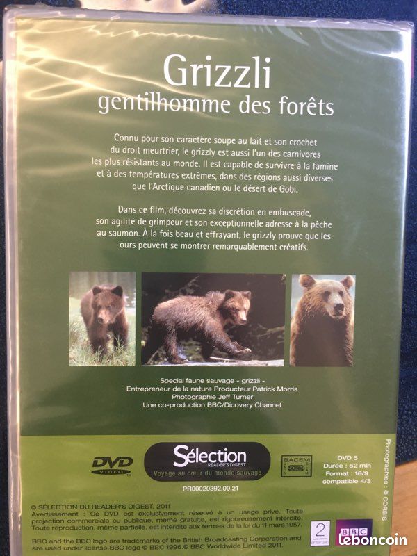 Grizzli gentihomme des forêts (image 2)