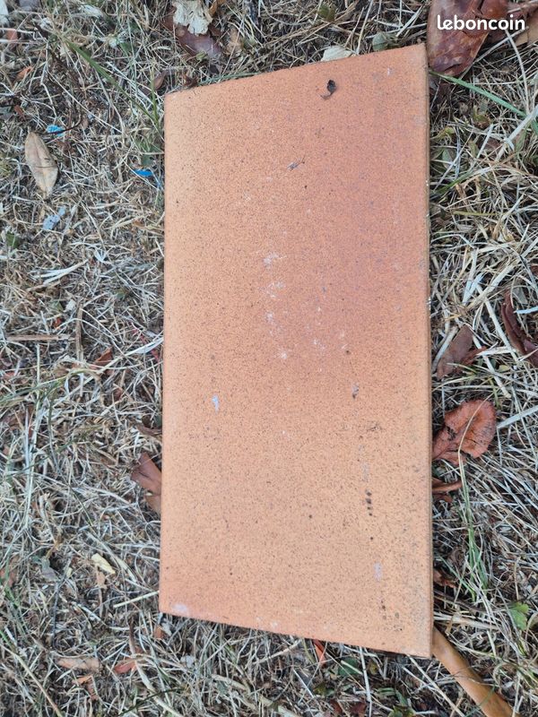 Carrelage ancien (image 1)