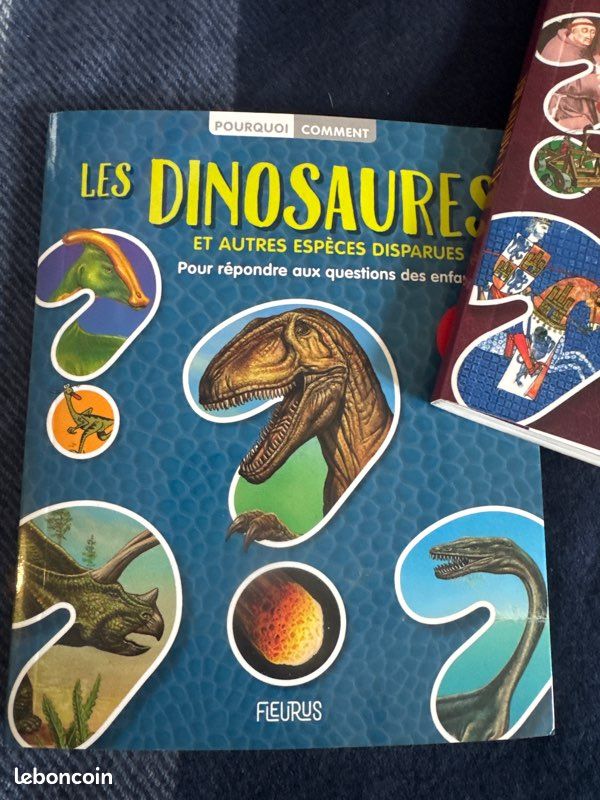 Pourquoi comment le moyen âge et les dinosaures Fleurus (image 7)