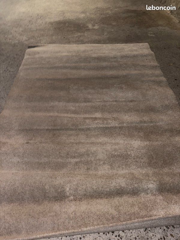 Tapis salon (image 2)