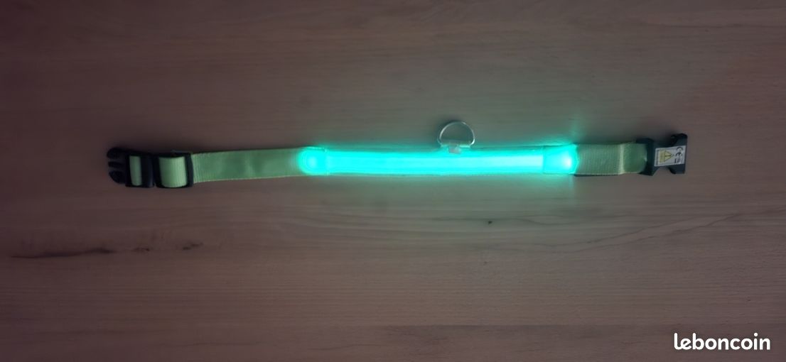 Collier chien lumineux (image 2)