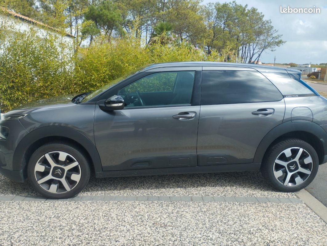 Citroën C4 Cactus Diesel (image 2)