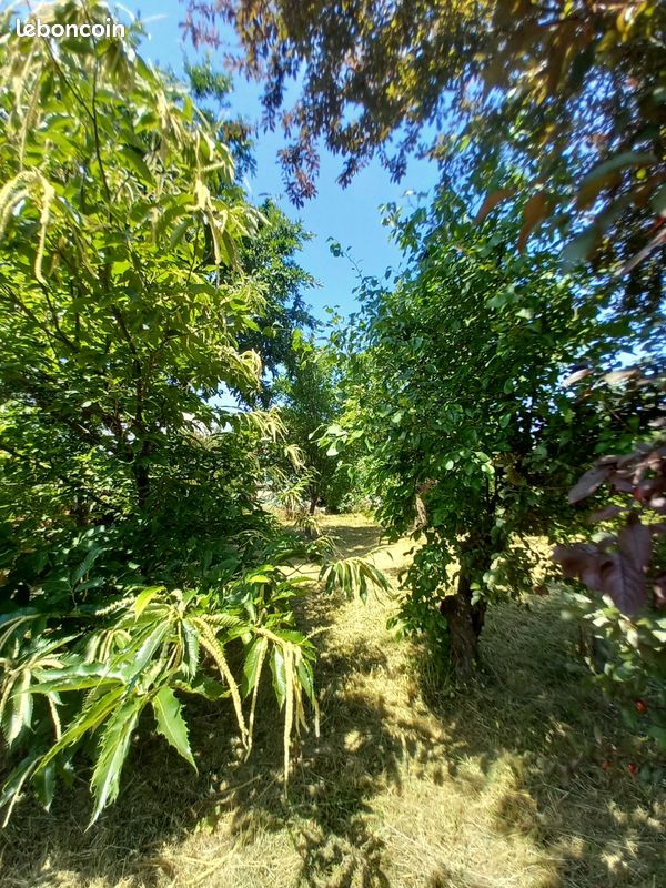 Terrain constructible · à Lentilly · 265 000 €