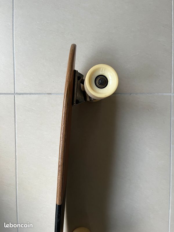 Skate globe (image 4)