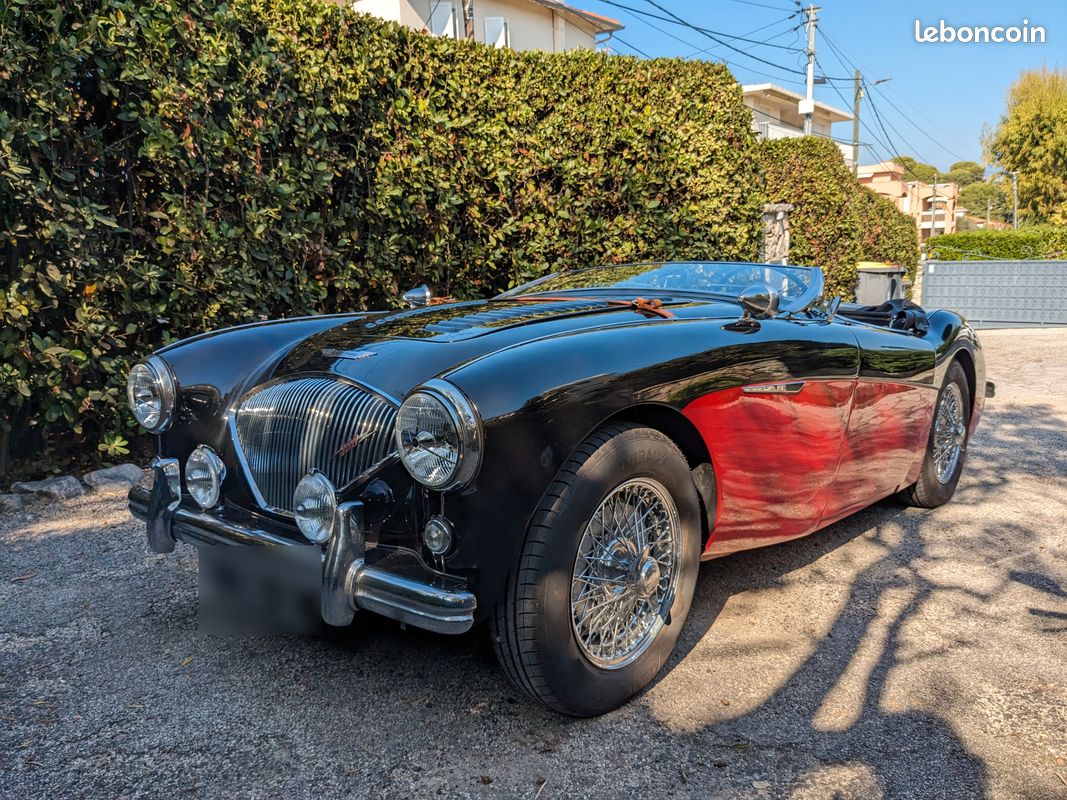 Austin Healey 100 /4 Bn1 Overdrive de 1955 à vendre - voiture ancienne de  collection