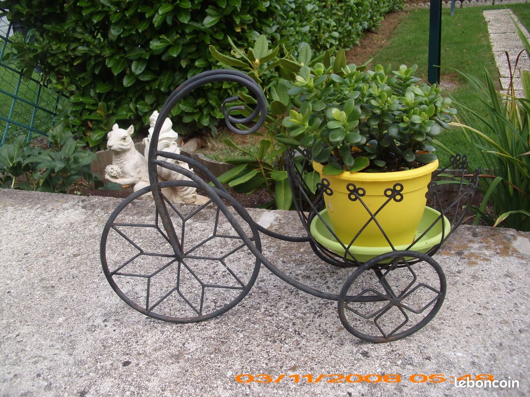 Velo en fer noir avecplante grasse (image 1)