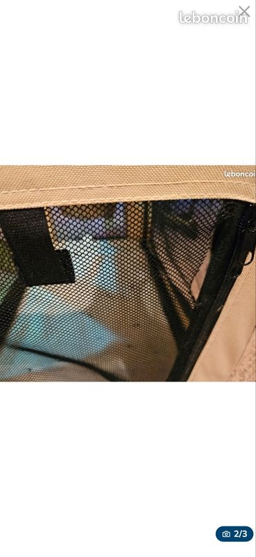 Cage transport (image 2)