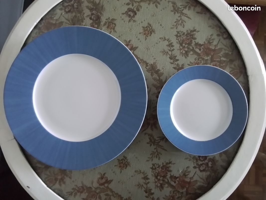 Grandes assiettes Guy DEGRENNE (image 1)