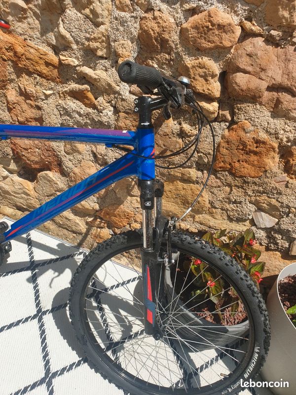 Velo VTT (image 3)