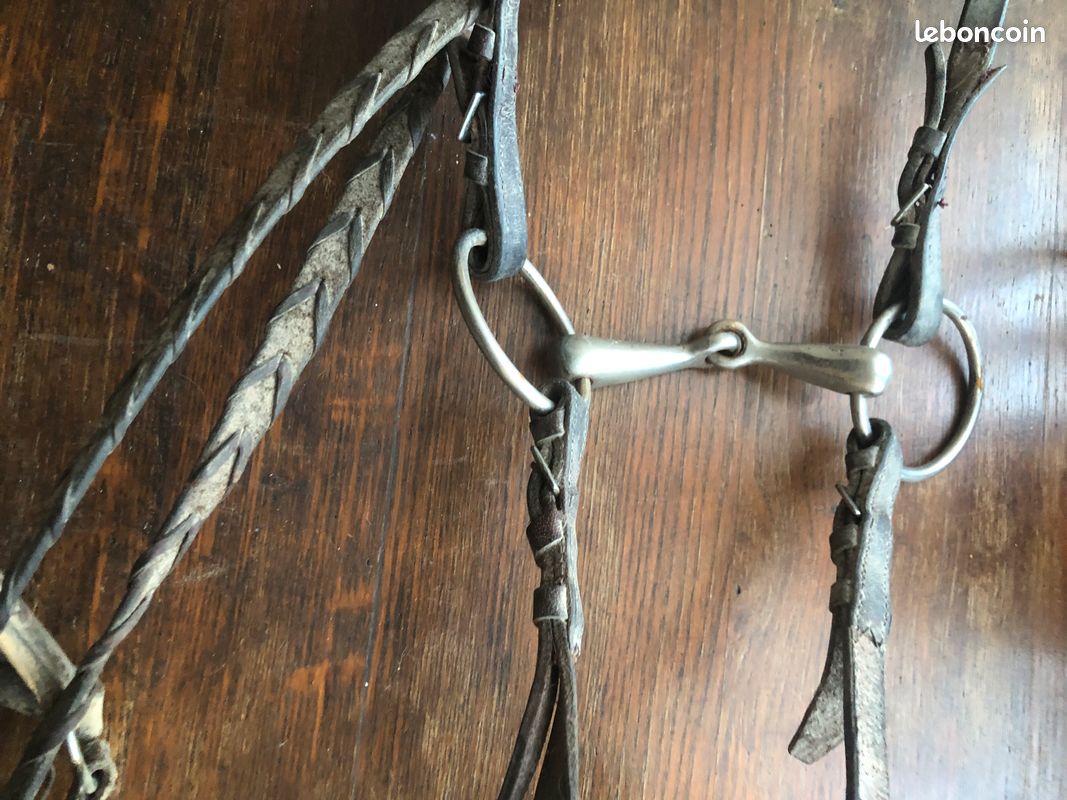 Mors De Cheval Renalde En Fer - Taille 4 3/4, Aspect Porté