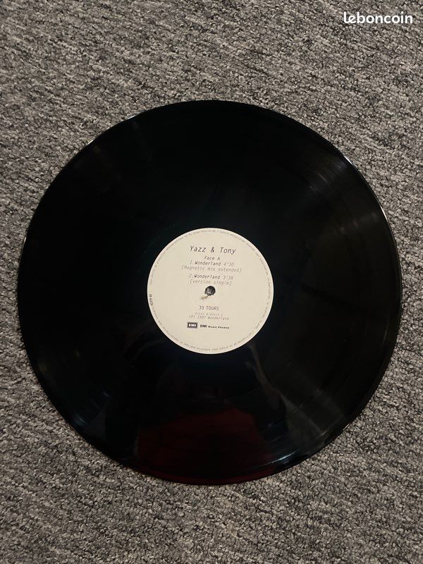 Azz and tony - wonderland vinyl (image 3)