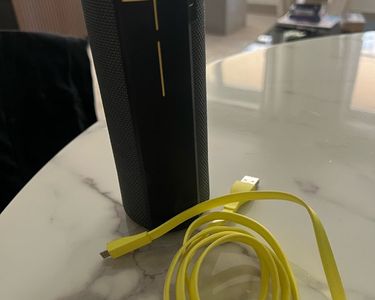 Enceinte Bluetooth sans fil Ultimate Ears Boom Panther Photo