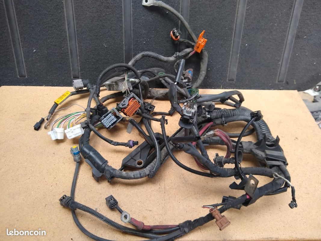 Faisceau moteur clio 3 (image 1)