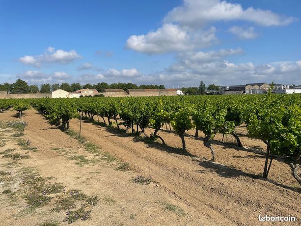 Terrain 521 m² Canet