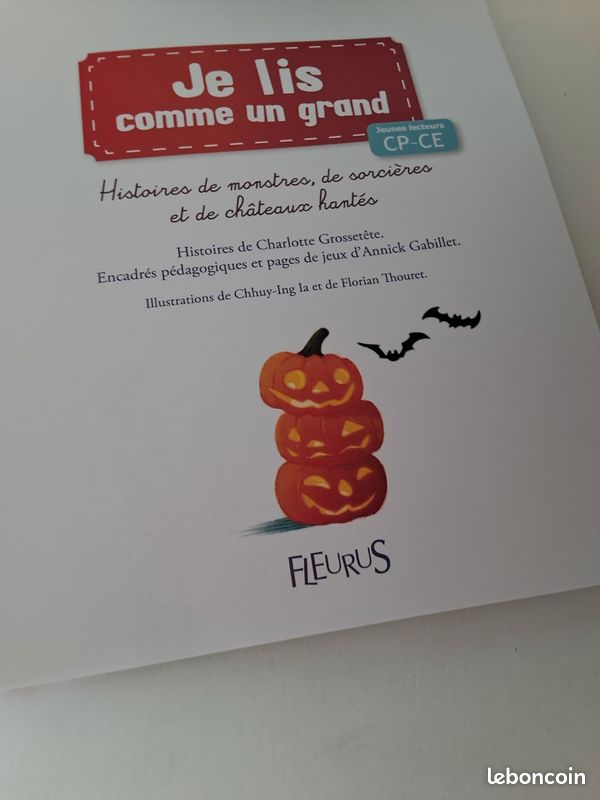 Lot de 3 livres Je lis comme un grand ́ Fleurus ' (image 6)