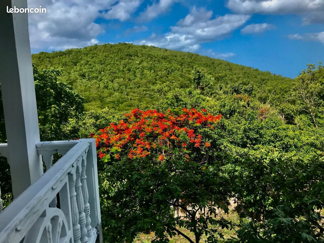Location Guadeloupe Bouillante (image 9)