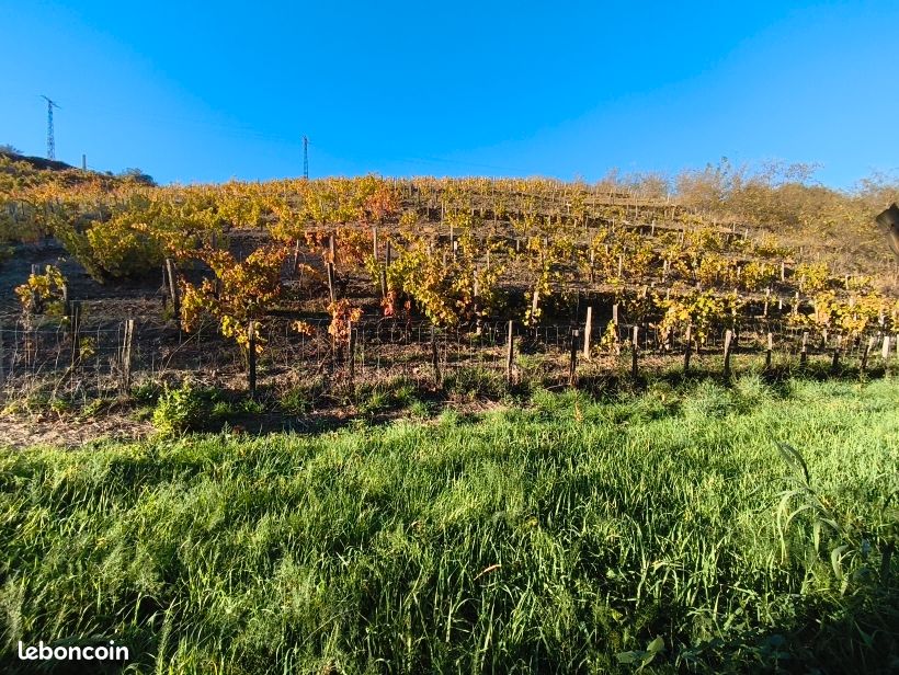 Parcelles de rouges et blancs. Anse de Paulilles. Port-Vendres. Vignes écologiques depuis 2012 · 18 000 €