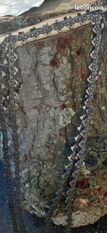 2 chaines de Tronçonneuse (image 1)