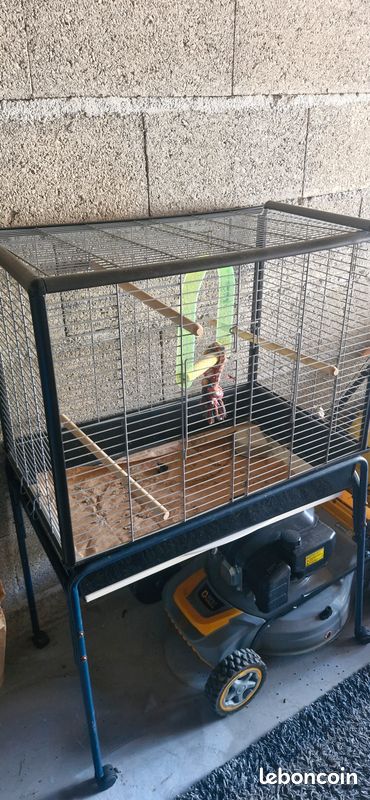 Cage a oiseaux (image 2)