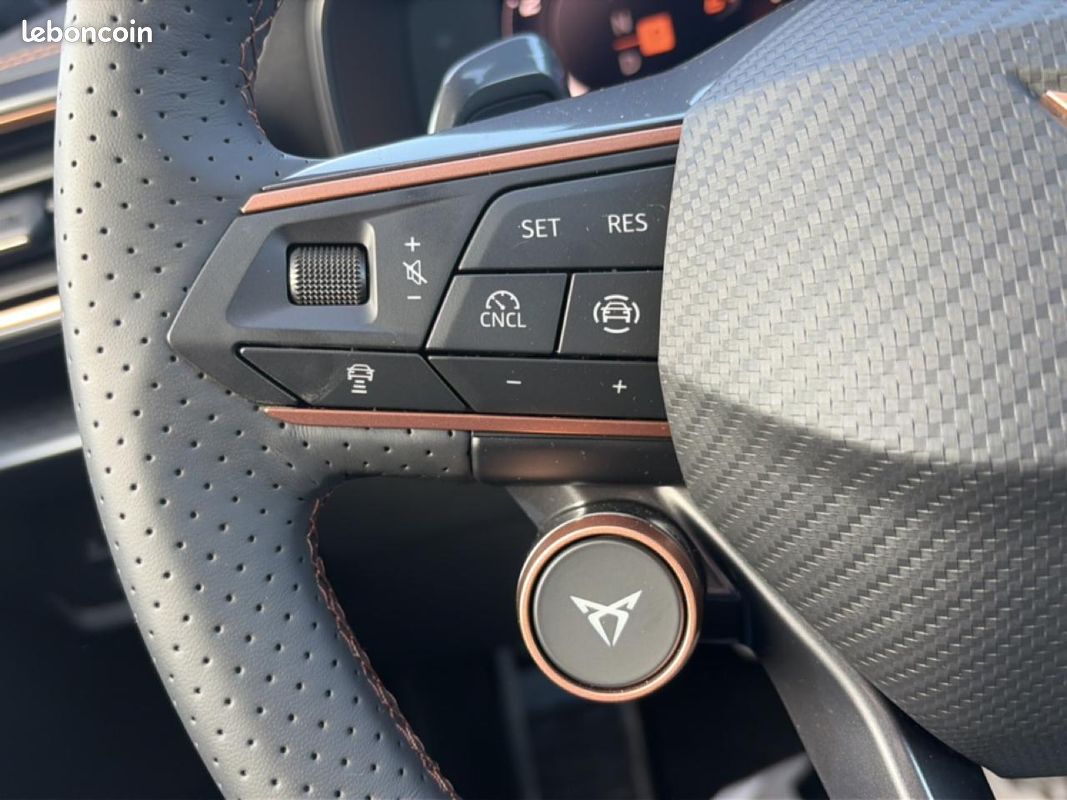 CUPRA FORMENTOR 2.0 tdi 150 v dsg7 (image 17)