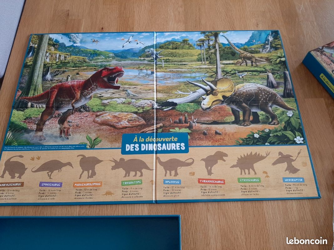 Dinosaures magnétiques plateau +livre (image 6)