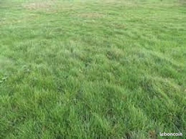 Terrain 684 m² · à Faÿ-lès-Nemours · 60 000 €