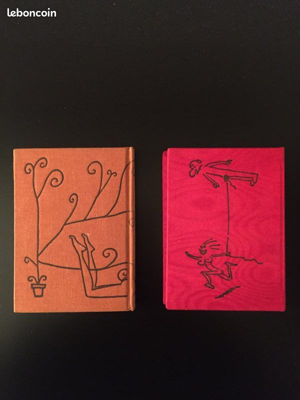 2 livres de Wolinski « Je ne pense qu’à ça « (image 2)