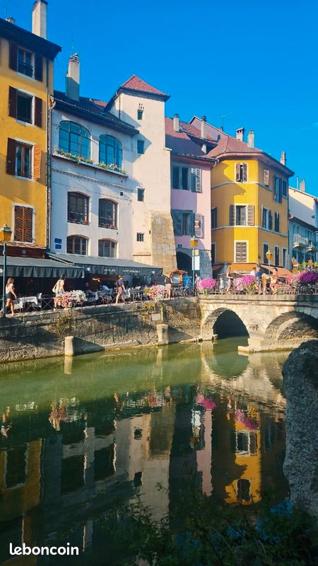 T2 MEUBLÉ 38 m² RÉNOVÉ – VUE SUR LE THIOU – VIEILLE VILLE D’ANNECY (image 12)