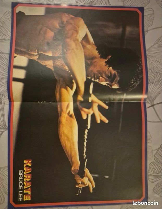 Bruce Lee la légende du petit dragon (D'occasion) à Sion pour CHF 5