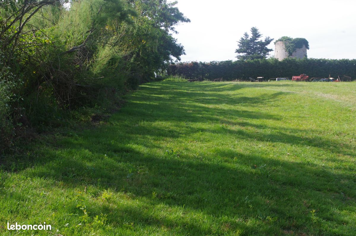 TERRAIN de 4 HA à 10 KM de MONTAUBAN · à La Salvetat-Belmontet · 55 000 €